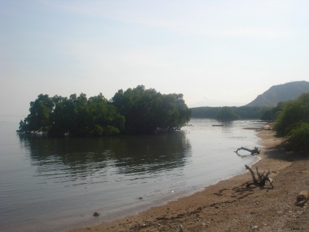 Mangal - perto da praia dos portugueses; @2012